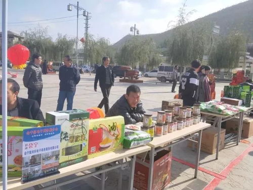 舌尖上的綠色 高原遺珍，狀元故里——會寧小雜糧狀元食品暨民俗文化產(chǎn)品展銷會與電子商務推介會紀實