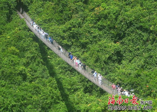 國慶假期海南旅文行業強勢復蘇，多元產品供給激活國內旅游市場